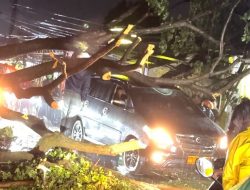 Akibat Hujan Deras Disertai Angin Kencang, Pohon Tumbang Timpa Mobil Minibus Berplat TNI di Pasar Sepatan