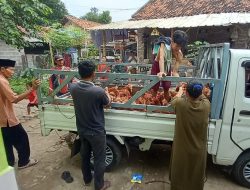 Korem 052/Wijayakrama Bantu Ternak Ayam Petelur di Panti Asuhan Yayasan Amanah Assodiqiyah