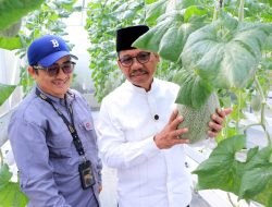 Wali Kota Tangerang Kunjungi TPU Swadaya dan Food Estate Edukatif di Cipondoh