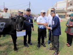 Dukung Budaya Berbagi, Wali Kota Hadiri Penyerahan Hewan Kurban dari RSUP Dr. Sitanala  