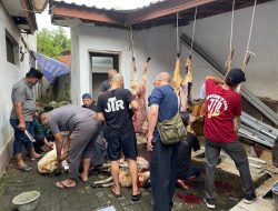 PWI Kota Tangerang Sembelih 6 Kambing Kurban pada Idul Adha 2025