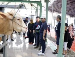 Pastikan Kualitas dan Distribusi Kurban, Wali Kota Tangerang Tinjau Langsung Prosesnya  