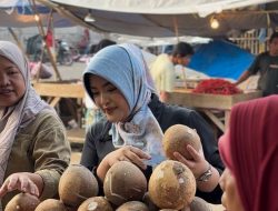 Pasca Idul Adha 1446 H, Anggota DPR RI Annisa Mahesa Tinjau Harga Pangan di Pasar Rau