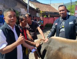 Semangat Berbagi, PDI Perjuangan Sukabumi Salurkan Daging Kurban untuk Warga
