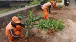 Pasca Penertiban PKL, Bantaran Kali Cengkareng Drain Disulap Jadi Taman Hijau