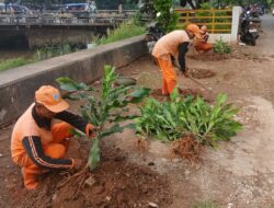 Pasca Penertiban PKL, Bantaran Kali Cengkareng Drain Disulap Jadi Taman Hijau