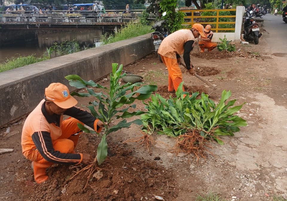Pasca Penertiban PKL, Bantaran Kali Cengkareng Drain Disulap Jadi Taman Hijau