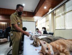 Kendalikan Populasi Kucing, Sudin KPKP Jakbar dan Polri Gelar Sterilisasi Massal di Palmerah