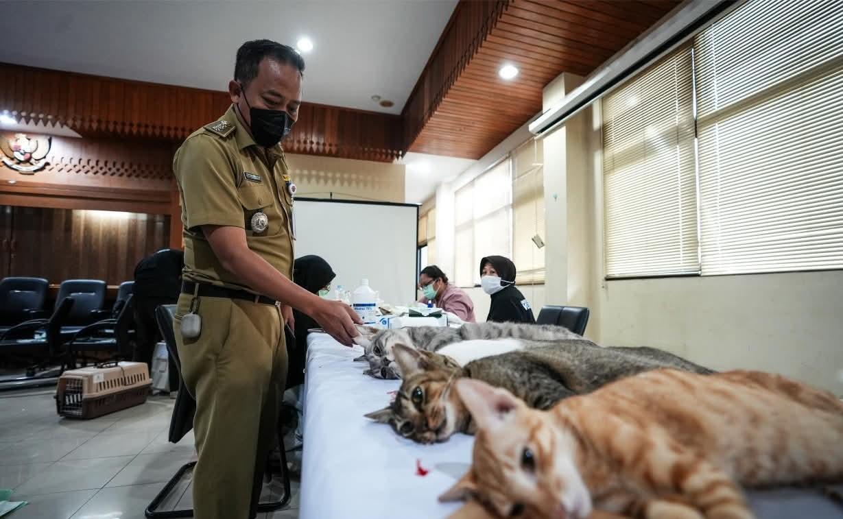 Kendalikan Populasi Kucing, Sudin KPKP Jakbar dan Polri Gelar Sterilisasi Massal di Palmerah