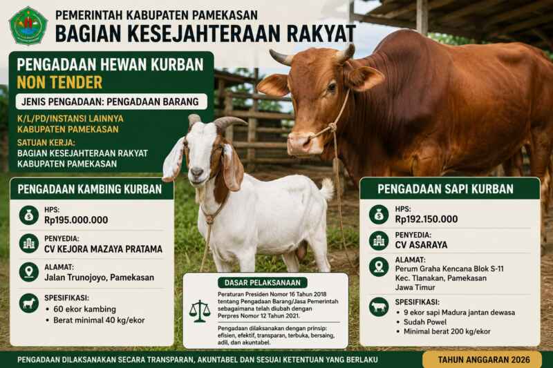 Jalan Rusak Disuruh Sabar, Sapi Kurban Malah Meluncur Lancar Rp387 Juta