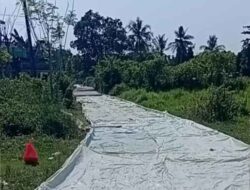 Jalan Beton di Desa Kemuning Tanpa Papan Proyek, Transparansi Anggaran Pemkab Serang Dipertanyakan
