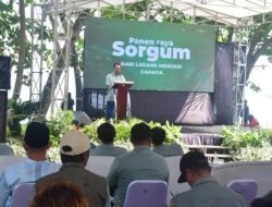 Wabup Sukabumi: Sorgum Jadi Terobosan Energi Bersih dan Sumber Ekonomi Baru
