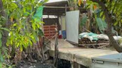 Bau Tak Sedap Cemari Lingkungan, Warga Cengkareng Timur Desak Pemkot Jakarta Barat Tutup Peternakan Ayam