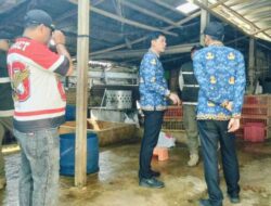 Peternakan Ayam Potong Cemari Warga Cengkareng Timur, Disidak Petugas KPKP Jakarta Barat
